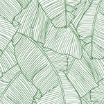 Papel de Parede Palmeira (Folhas)