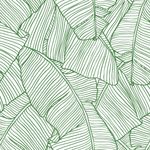 Papel de Parede Palmeira (Folhas)