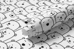 Papel de Parede Ursinhos Polar 