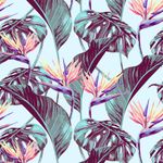 Papel de Parede Plantas Tropicais 