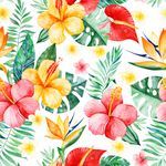 Papel de Parede Floral Tropical