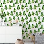 Papel de Parede Árvores Pinheiros