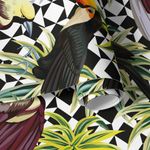 Papel de Parede Folhas Tropicais Pássaros