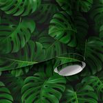 Papel de Parede Folhas 3D de Costela de Adão 