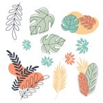 Adesivo de Parede kit Boho Folhas Tropical Colorido