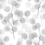 Papel de Parede Galhos Folhas Eucalipto Tons de Cinza