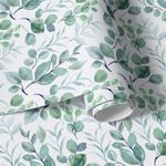 Papel de Parede Folhagens Eucalipto Aquarela