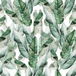Papel de Parede Aquarela Folhas de Bananeira