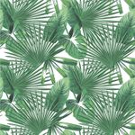 Papel de Parede Estampa de Folhas Tropicais