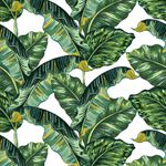 Papel de Parede Folhas de Bananeira ll