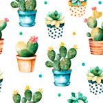 Papel de Parede Cactos Variados Verdes