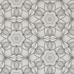 Papel de Parede Mandalas Preto e Branco