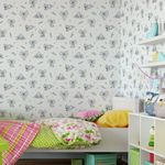 Papel de Parede Infantil Coalas Fofos