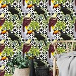 Papel de Parede Folhas Tropicais Pássaros