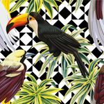Papel de Parede Folhas Tropicais Pássaros