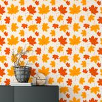Papel de Parede Folhas Outono