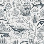 Papel de Parede Mapas Antigos