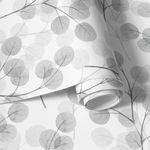 Papel de Parede Galhos Folhas Eucalipto Tons de Cinza