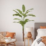 Adesivo de Parede Bananeira Tropical Estilo Urban Jungle
