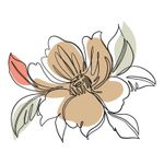Adesivo de Parede Floral Boho Chic Delicado