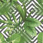 Papel de Parede Folhagem Tropical Fundo Geométrico