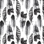 Papel de Parede Penas Pretas