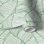 Papel de Parede Palmeira (Folhas)