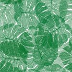 Papel de Parede Planta Costela de Adão 