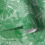 Papel de Parede Planta Costela de Adão 