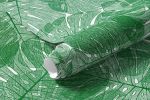 Papel de Parede Planta Costela de Adão 