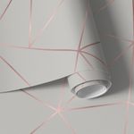 Papel de Parede Cinza com Listras Rose