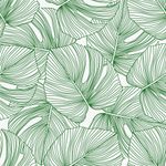 Papel De Parede Costela de Adão Abstrata Monstera