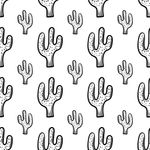 Papel de Parede Cactos