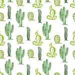 Papel de Parede Cactos Verdes 2