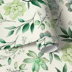 Papel de Parede Folhagens e Suculentas Aquarela