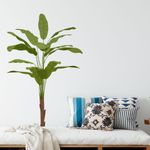 Adesivo de Parede Bananeira Tropical Estilo Urban Jungle