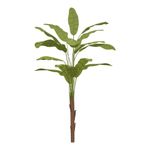 Adesivo de Parede Bananeira Tropical Estilo Urban Jungle