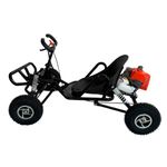 Kart  Carbon GT2