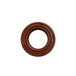 Retentor 17x27x6mm para Motocultivador FAK530MC