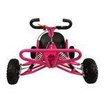 Kart  Carbon GT2