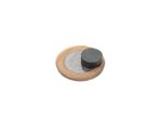 Ímã de Ferrite 12x4 mm anisotrópico