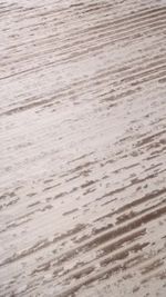 Tapete de Sala Dixon Zaira 250x300