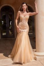 Vestido Longo Sereia Renda e Vidrilhos Champagne