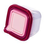 Conjunto de Potes de Plástico Quadrados Conect - 4 Unidades