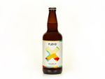GARRAFA PLEXA 500ml