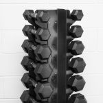 Kit Halter + Dumbbells 