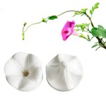 Molde de Silicone Flores - Flor Corriola