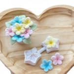 Molde de Silicone Flores - Rosa Lorena