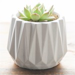 Molde de Silicone Vaso Origami