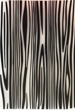 Marcador de Textura Zebra, Savana, Listras para Decorar